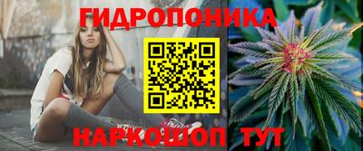 стафф Можга