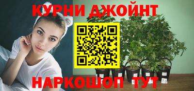 стафф Можга