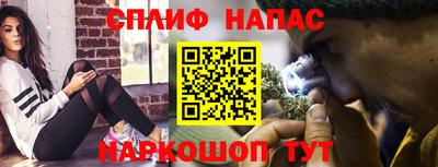 стафф Можга